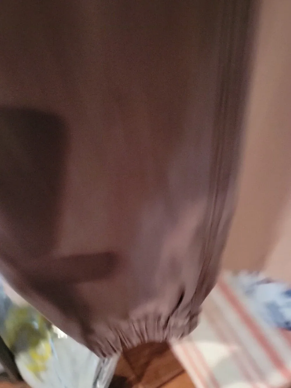Nwot American Eagle Outfitters Brown Drawstring Jogger Pants 4 R.